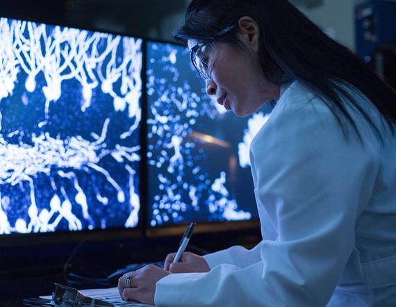 Doctor examining a scan in a dark room