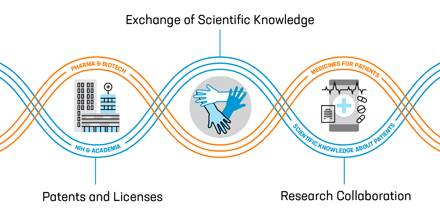 Infographic showing interlocking processes exchanging patents, licenses, and research collaboration among pharma and biotech, national institutes of health and academia, scientific knowledge about patients, and medicines for patients